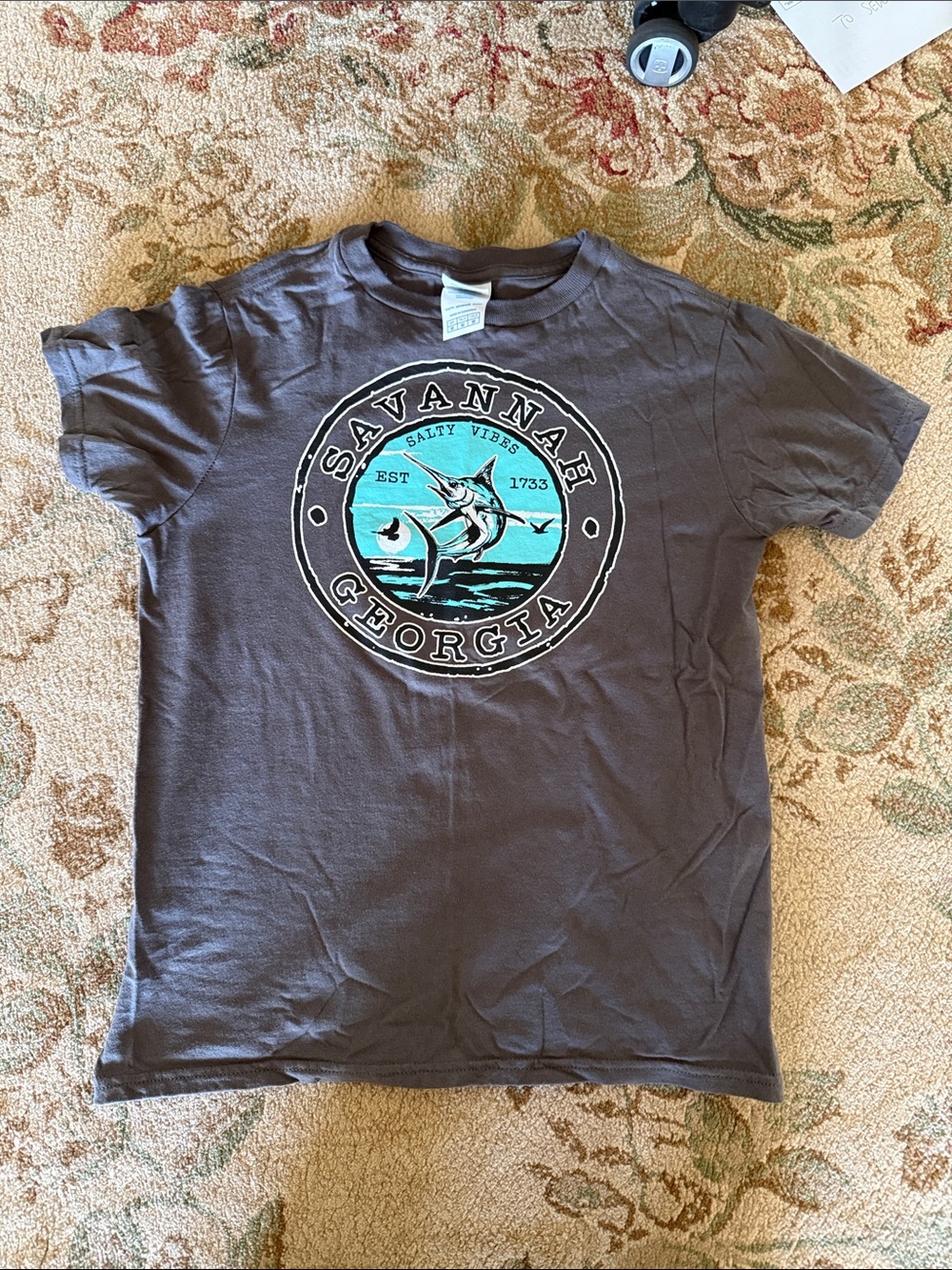 Gray Tee with Teal and White Savannah Georgia Graphic. Hardly wore. Medium